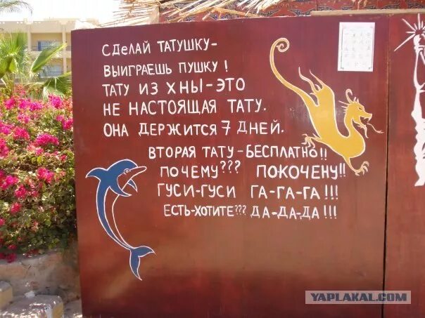 Реклама тату салона. Объявление о татуировке. Реклама тату студии. Реклама тату текст. Реклама тату текст.