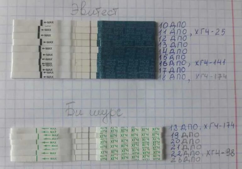 ХГЧ В моче на 11 день после овуляции. Тест на ХГЧ В моче. ХГЧ В моче после овуляции. 11 ДПО ХГЧ В моче.
