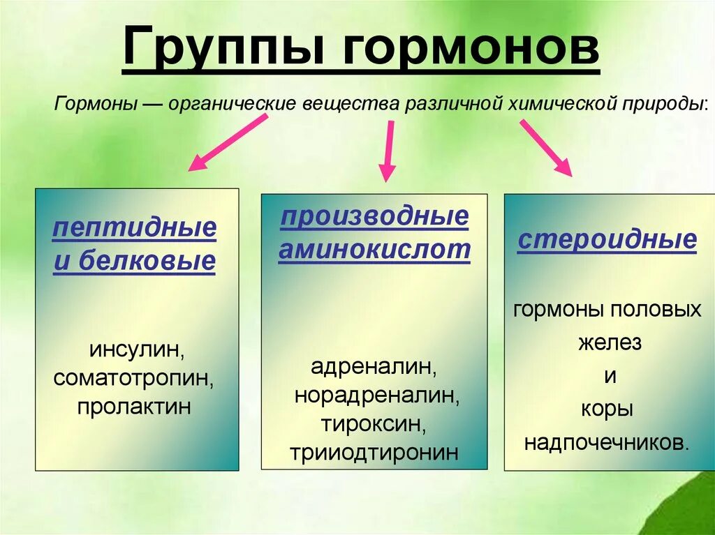 Биологические типы веществ. Белковая группа гормонов. Виды гормонов. Гормоны презентация. Три группы гормонов.