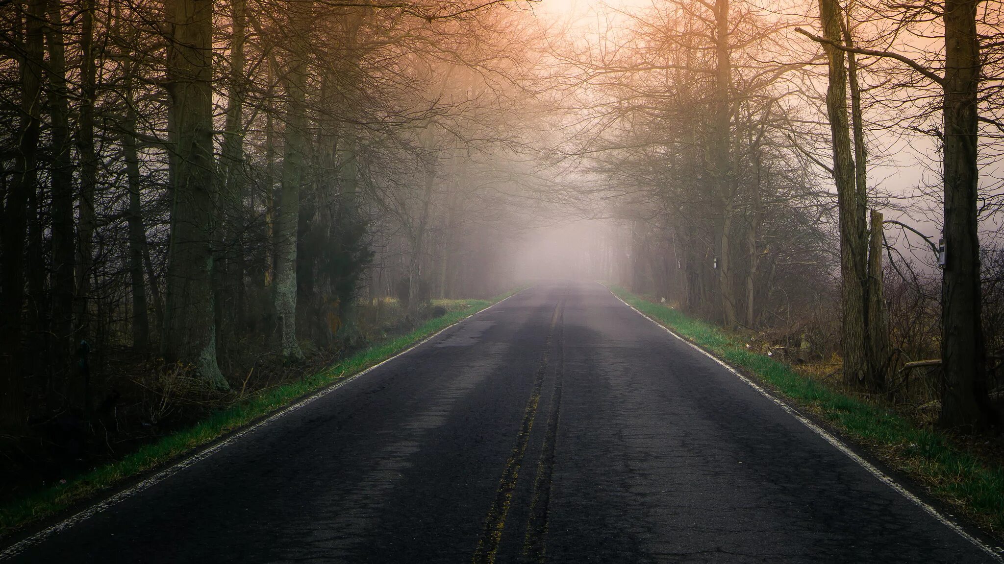 6 4 в никуда. Дорога в тумане. Дорога в лесу. Туман в дороге в природе. Дорога на рабочий стол.