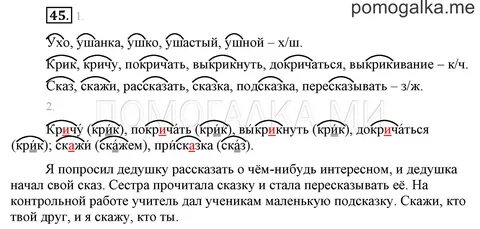 Ухо корень