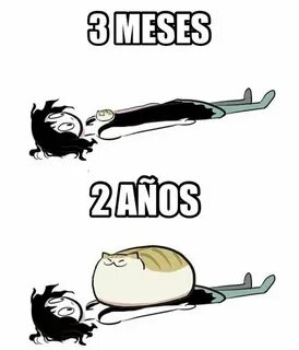 Cats be like