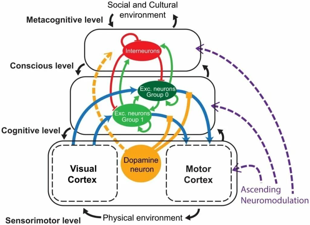 Proceeding of science