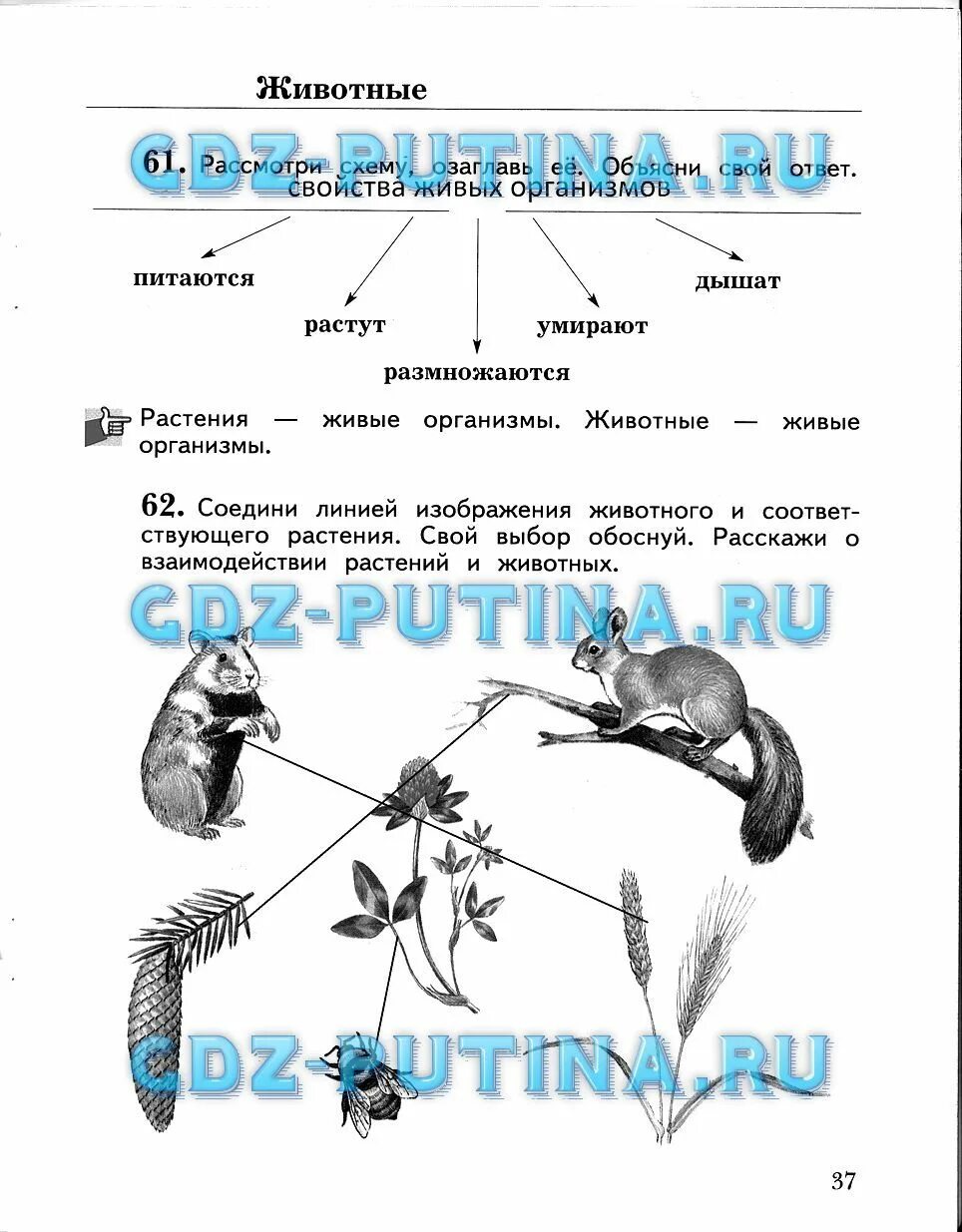 Окр мир виноградова 3. Гдз часть рабочая тетрадь Виноградова. Рабочая тетрадь окружающий мир Виноградова третий класс 3 стр. Окружающий мир 3 класс рабочая тетрадь Виноградова. Окружающий 3 класс рабочая тетрадь 1 страница 37.