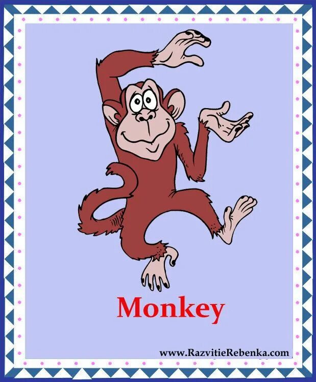 Карточка на английском языке обезьяна. Абизьяна на английском языке. Обезьяна карточка для детей. Обезьянка карточки английский. Какие слова помогают представить обезьянку