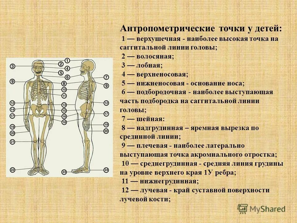 Мерка длина спины до талии. Мерка высота бедра. Схема снятия мерок для пошива спортивного костюма. Как правильно снимать мерки с женщины для определения размера одежды. Как измерить размер юбки.