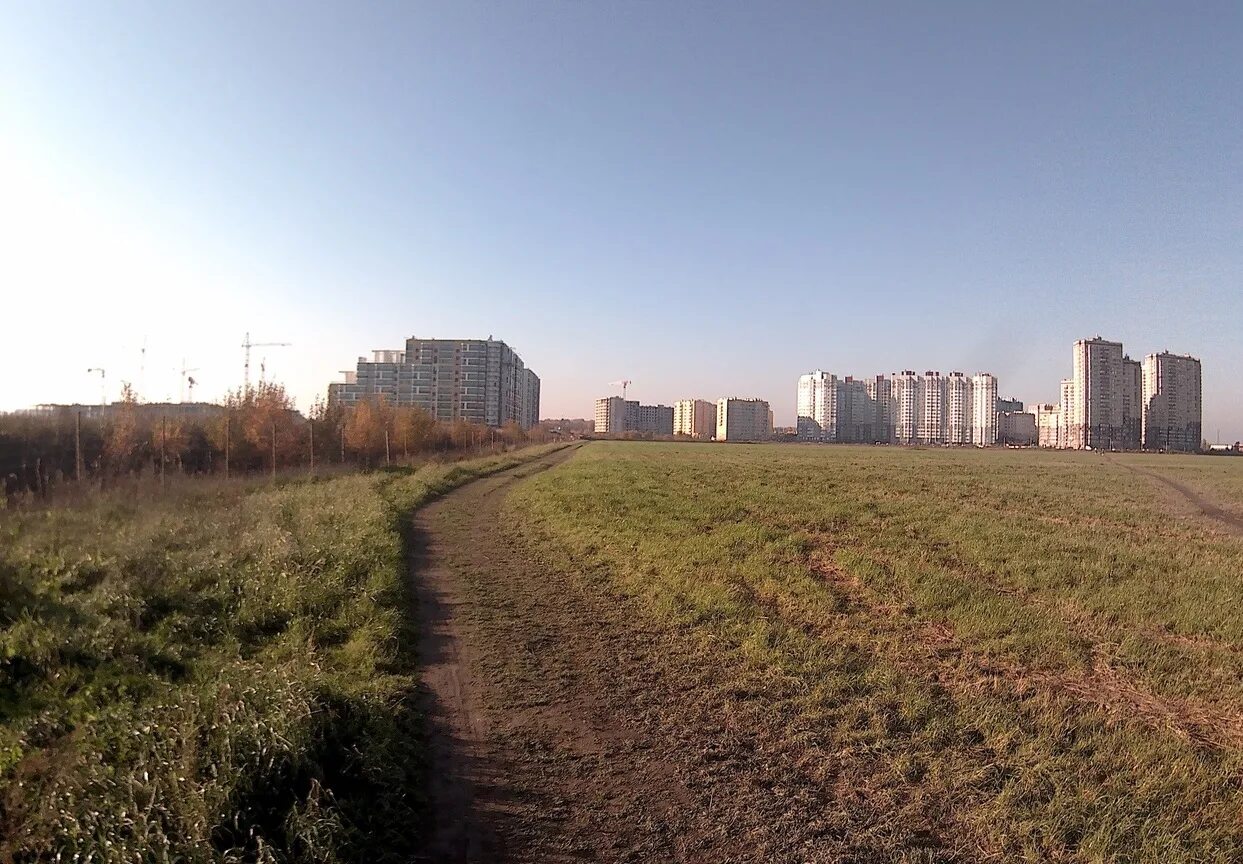 Поле девяткино. Поле бугры мурино. парк в буграх и мурино. парк между мурино и буграми. поле в буграх спб.