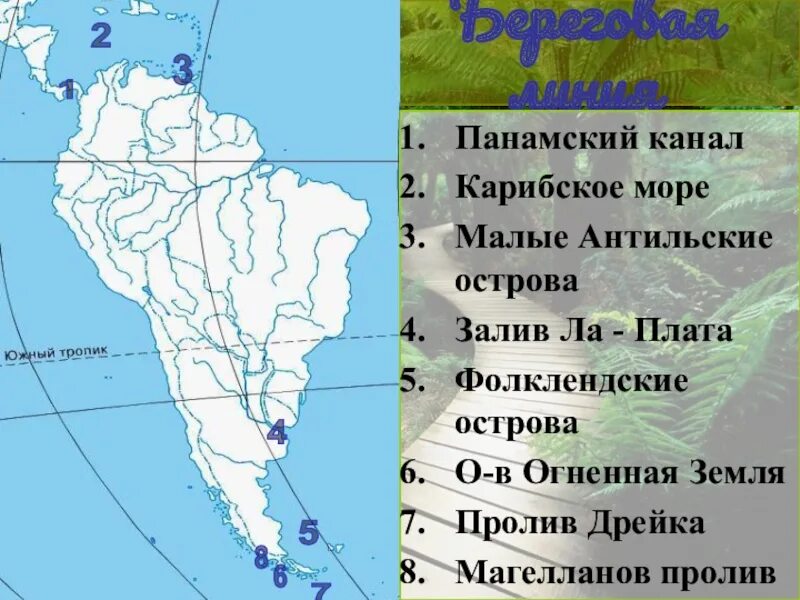 Южная америка расположена между океанов