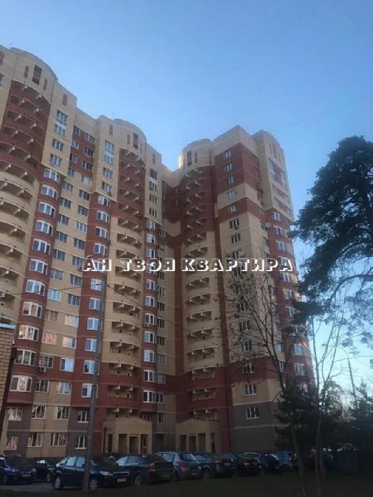 Лесные поляны 19. Балашиха лесные поляны 19. Пушкинский район поселок лесные поляны микрорайон полянка. Лесные поляны московская область. Балашиха лесные поляны 19.