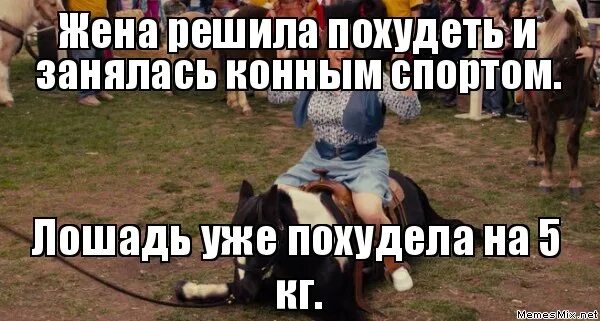 Коня жалко. Приколы про конный спорт. Мемы про конный спорт. Конный спорт фразы. Мемы про лошадей.