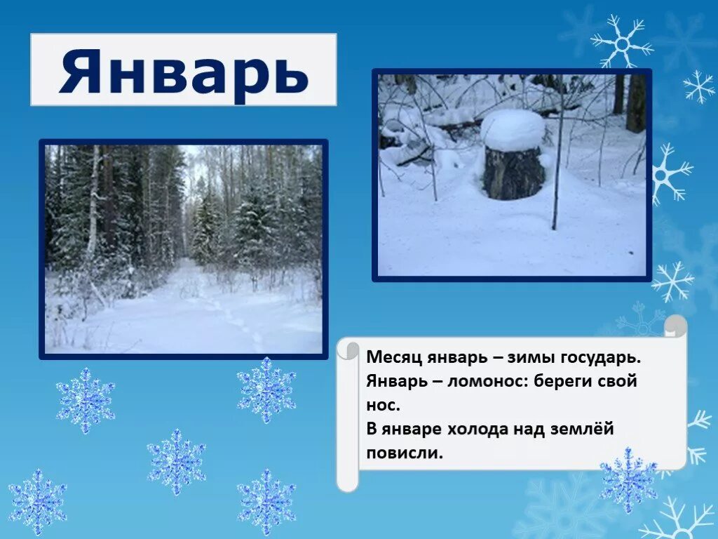В гости к зиме окружающий мир 2