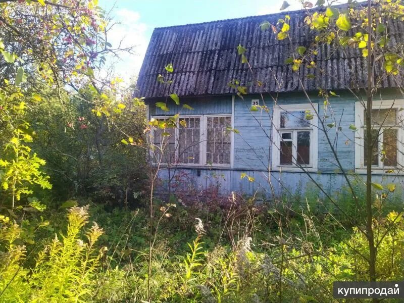 3 ий участок. 3 ий участок