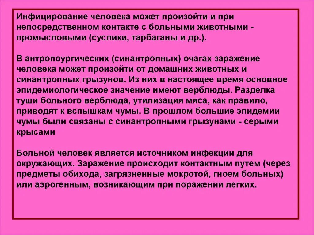 Собаку можно отнести к синантропным