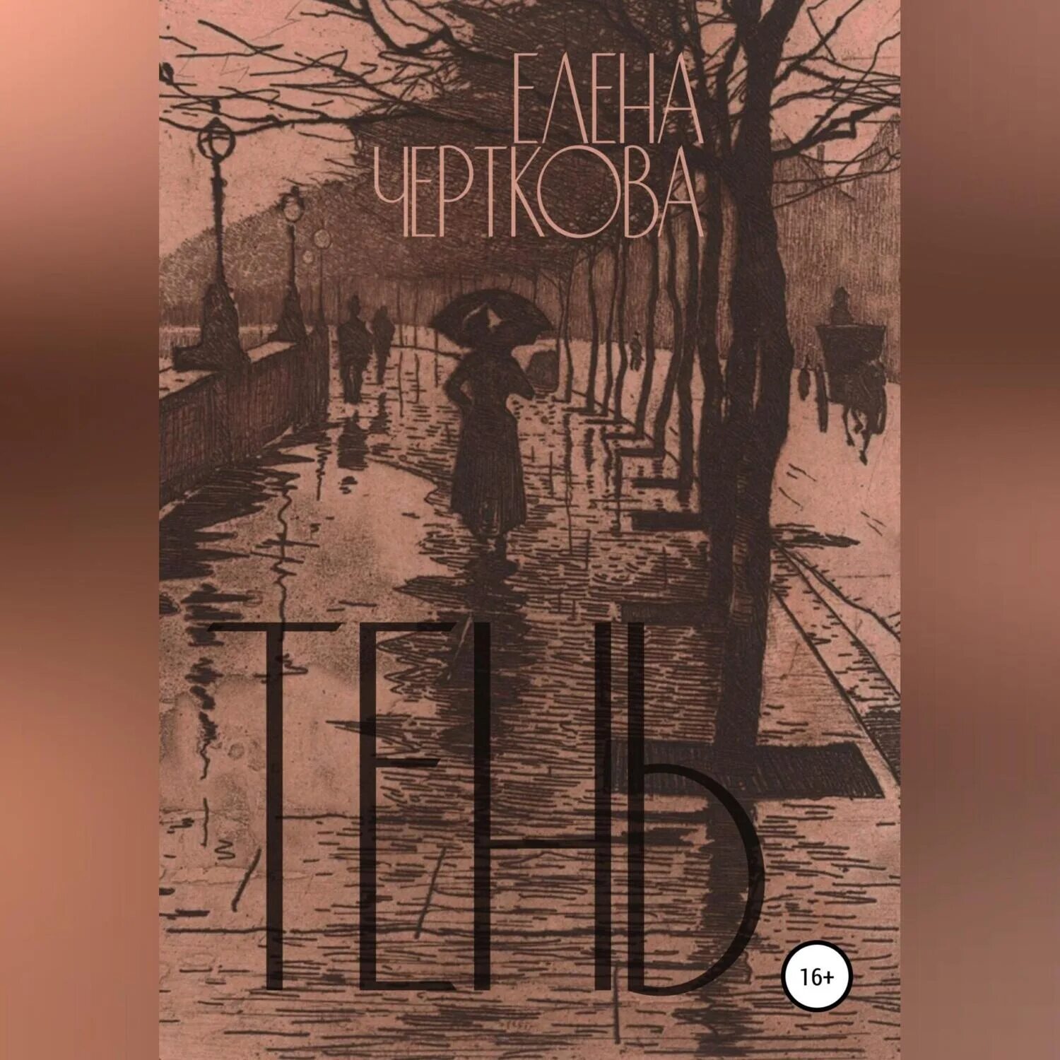 С. Теневой путь 1. Тени теней аудиокнига. Тени теней аудиокнига. Шаг в тень.