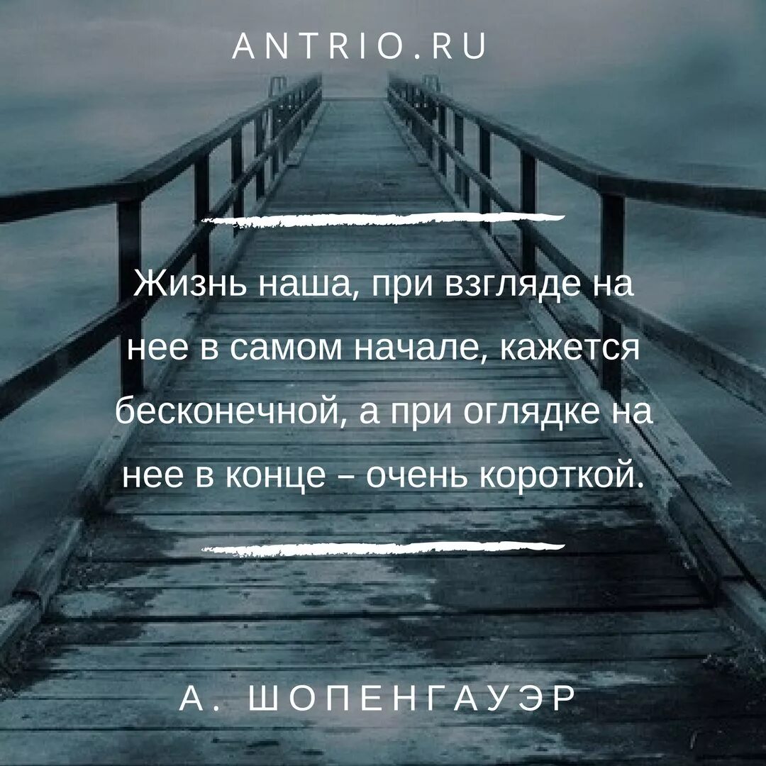 Описание статус жизненное