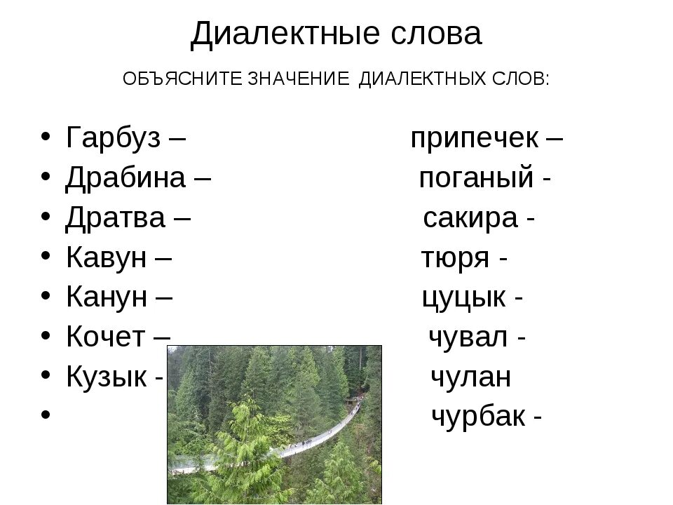 Диалектные слова. Диалектные слова примеры. Диалектиктивные слова. Диалекты примеры.