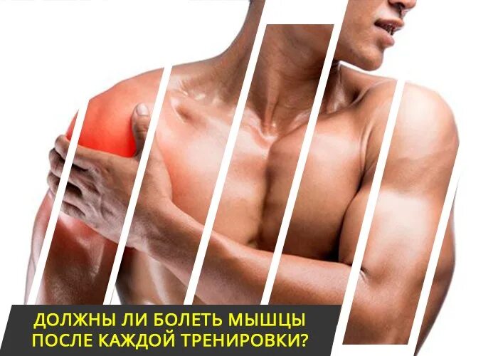 Сильно болит пресс. Мышцы после тренировки. Болят мышцы. Болят мышцы после тренировки. Должны ли болеть мышцы после тренировки.