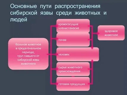 Основные пути распространения информации