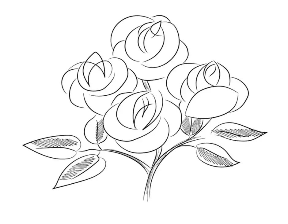 Букет карандашом легко. Рисунок розы для срисовки. Букет рисунок карандашом.