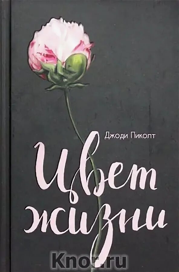 Жизнь джуди. Пиколт цвет жизни. Пиколт Джоди "простая правда". Простая правда Джоди Пиколт книга. Джоди Пиколт клятва.