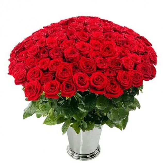 Миллион роз купить. Букет алых роз 101. Большой букет красных роз. Огромные букеты из роз.