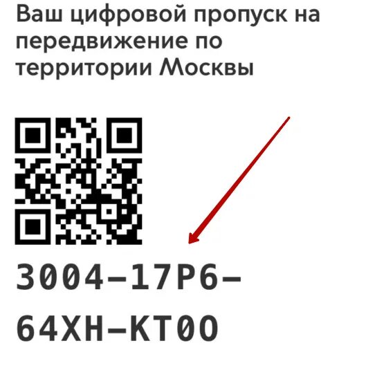 Не вижу qr кода. Пропускной QR код. QR пропуск. Как выглядит QR код. QR код для передвижения.