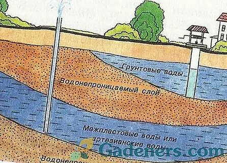 Чем различаются грунтовых