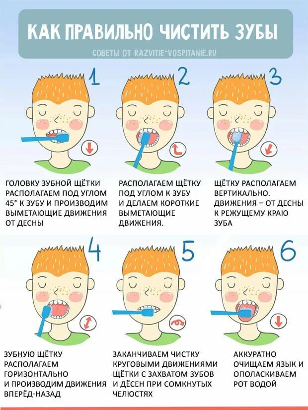 Схема правильно чистим зубы. Памятка для детей как правильно чистить зубы. Какпровельно чистить зубы. Схема чистки зубов для детей. Можно ли чистить зубы ребенку