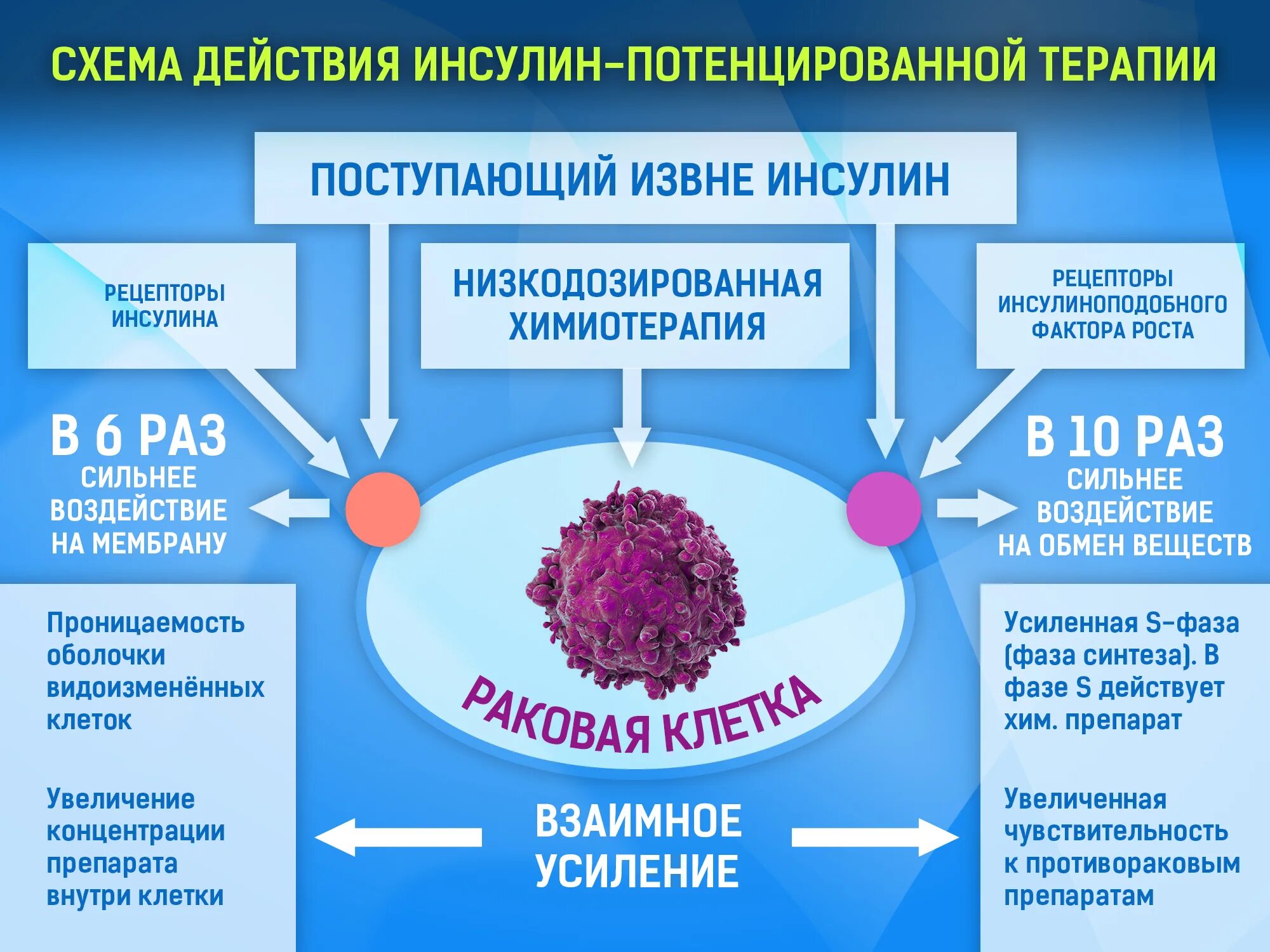 В 10 раз сильнее. Влияние химиотерапии на раковые клетки. Влияние полихимиотерапии на опухоль. Химиотерапия механизм действия.