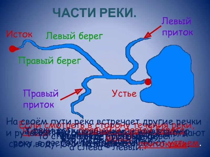 Схема реки Невы Исток. Истоки реки Устье реки правый берег левый берег. Москва река схема истока Устье и притоки. Устье реки Исток приток окружающий мир.