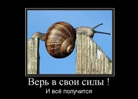 Песня у тебя все получится