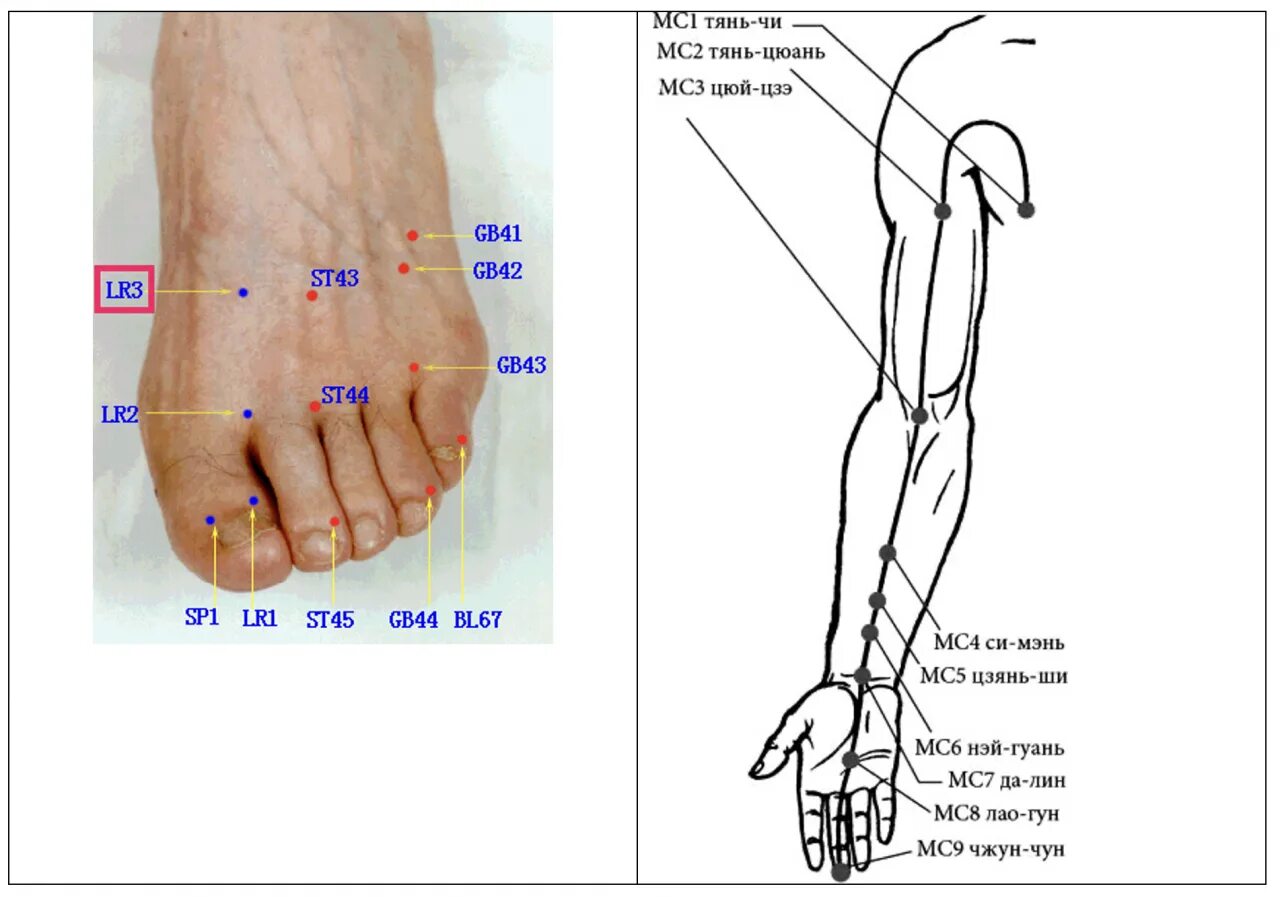 Точка мс 9. Mc6 Нэй-Гуань точка акупунктуры. Мс6 точка акупунктуры. Нэй-Гуань MC.6. Массаж точки рс6-Нэй Гуань.