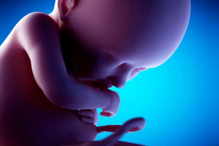 Младенец в утробе. 36 недель икает