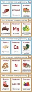 Какого витамина не хватает если хочется есть