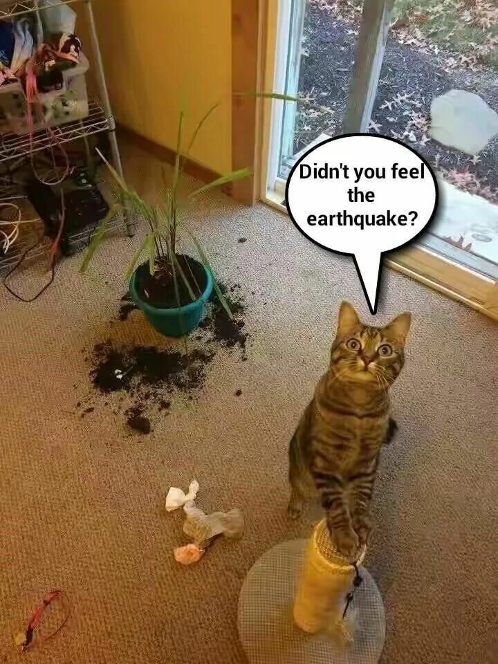 Such a mess