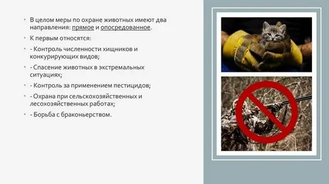 Какое животное охраняет