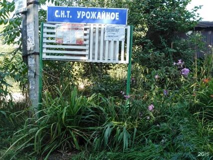 Погода х черников