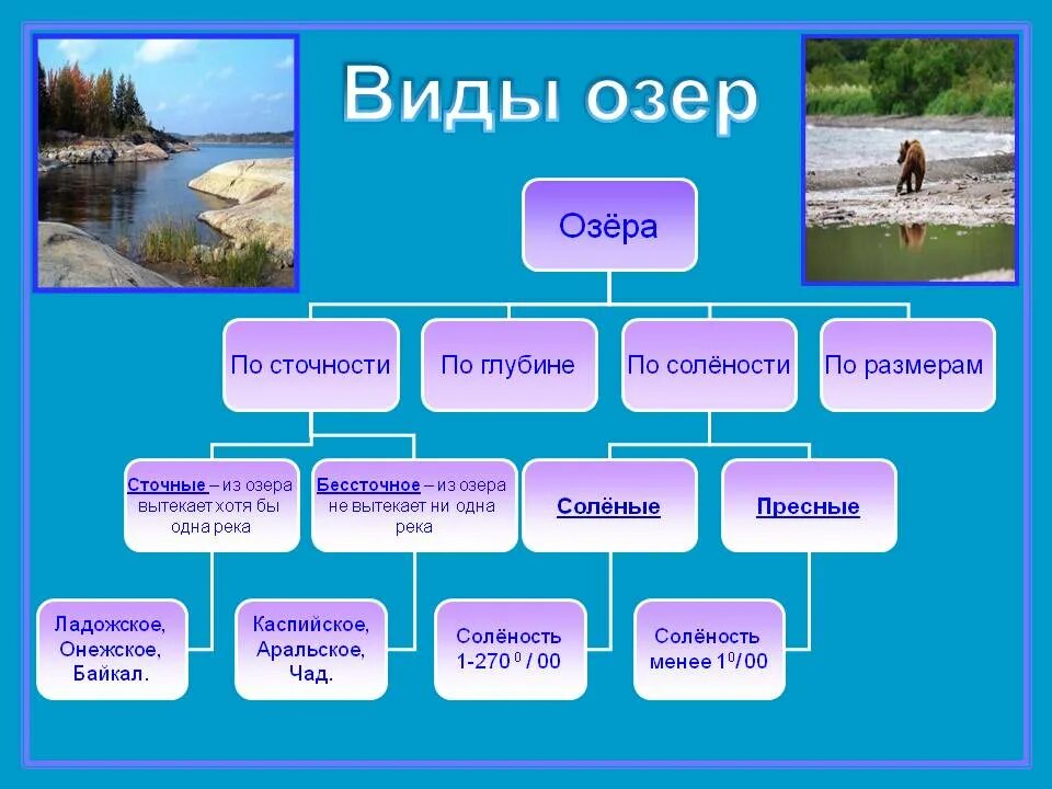 Состав слова озерами. Виды озер. Типы озер схема. Озера типы озер. Типы классификации озер.