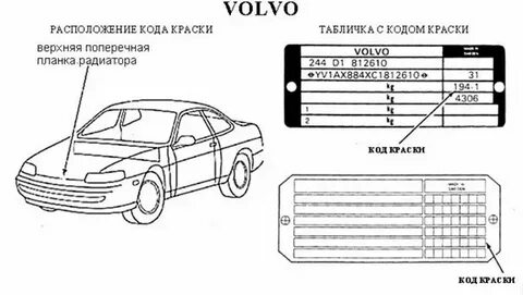 Узнать номер краски по вину автомобиля как