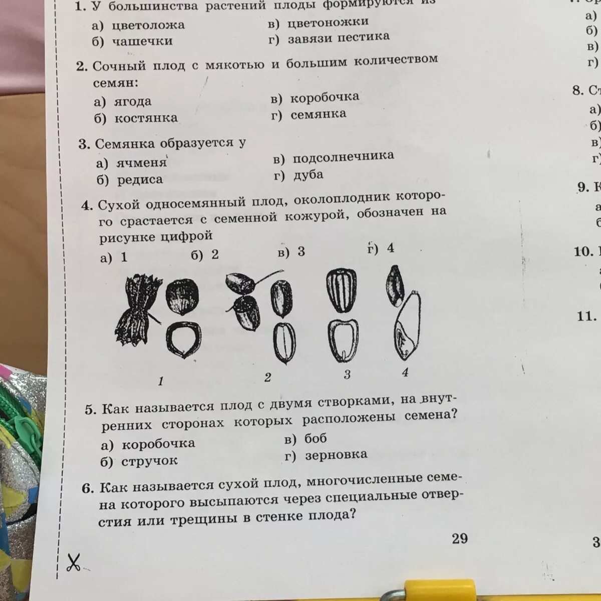 Тест по биологии 6 класс строение семян. Тесты по биологии 6 класс к учебнику пономаревой с ответами. биология 6 класс тесты. тест по биологии 6 класс. тест на тему плоды.