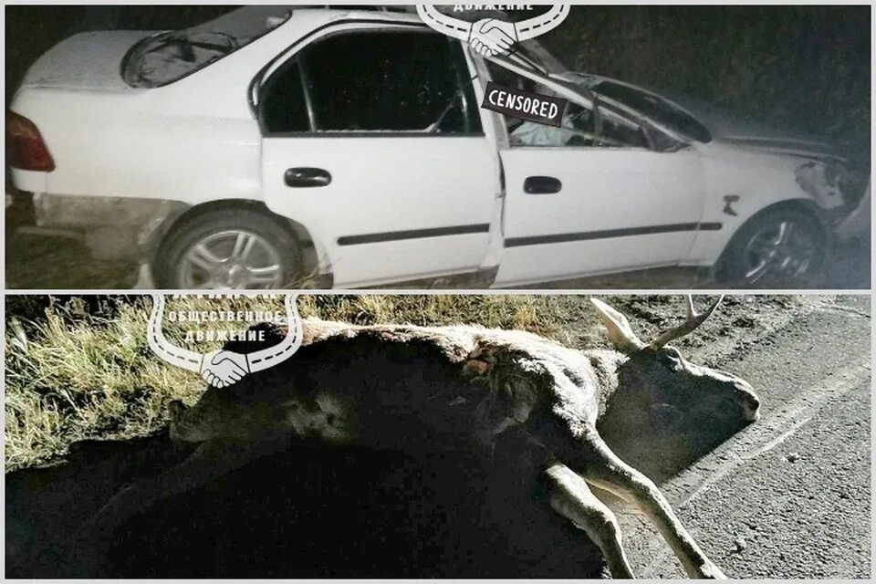 Авария новоспасское ульяновская область вчера. Дтп 7 октября. Дтп 7 октября. Дтп 7 октября. Дтп 7 октября.