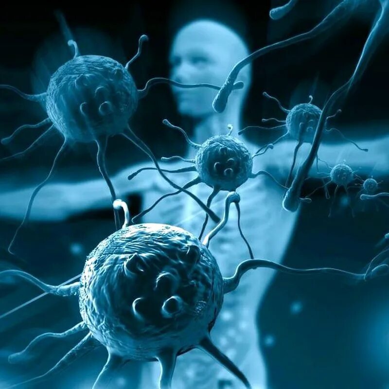 Вирусы бактерии микробы. Бактерии дома. Пищевые токсикоинфекции бактерии. Бактерии на губке для мытья посуды. Бактерии в квартире.