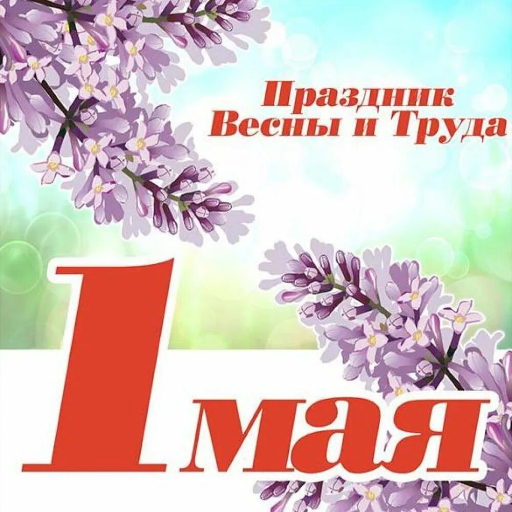 Альбомы 1 мая. Праздник весны и трада. 1 Мая праздник весны и труда. 1 Мая плакат. Открытки с 1 мая.