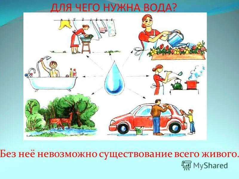 Мальчик в школе. Дети заходят в школу. Как дети где встречается. Вежливые поступки. Картинка где есть вода.