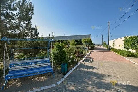 Дорожник голубицкая отдых