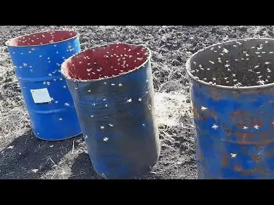 Закорм пчел в зиму. Закорм пчел в зиму сиропом. кармушка ппу после закорма пчёл.