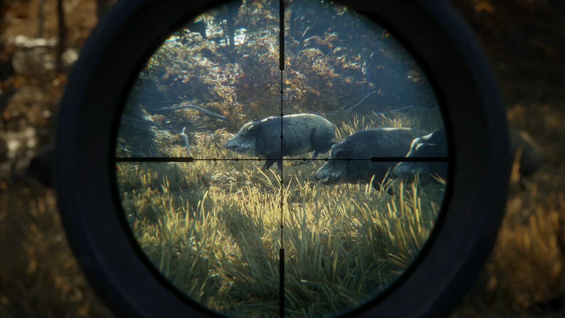 The hunt call. Thehunter: call of the wild. call of the wild игра. игра охота the hunter call of the wild. the hunter call of the wild ps4.