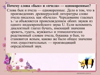 Значение слова почему