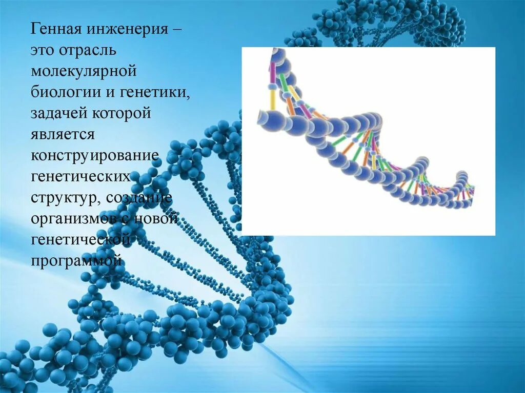 Генетика человека 10 класс биология презентация. Генная инженерия биология 10 класс сообщение. Достижения молекулярной биологии. Генетика и генная инженерия. Методы генной инженерии.