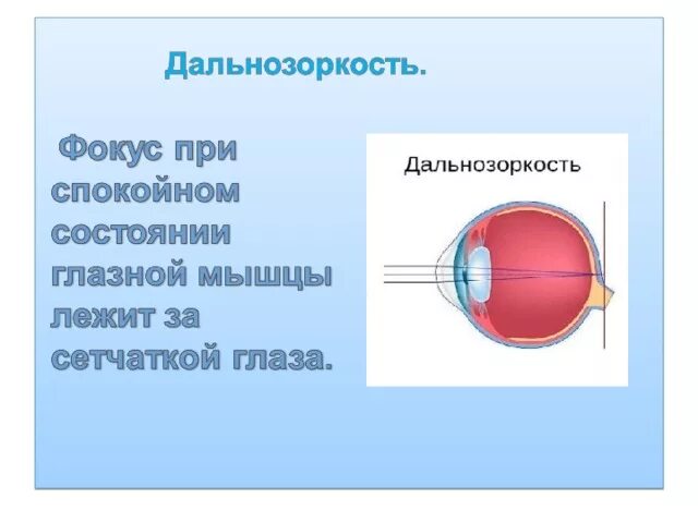 Глаз и зрение физика 9. Глаз и зрение физика. Глаз и зрение физика 8 класс. Строение глаза по физике 8 класс. Глаз и зрение физика 8 класс презентация.